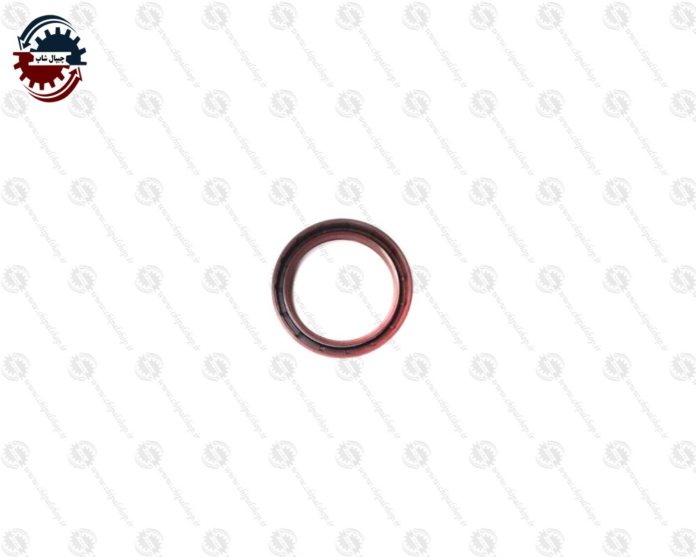 1399 - چیپال شاپ