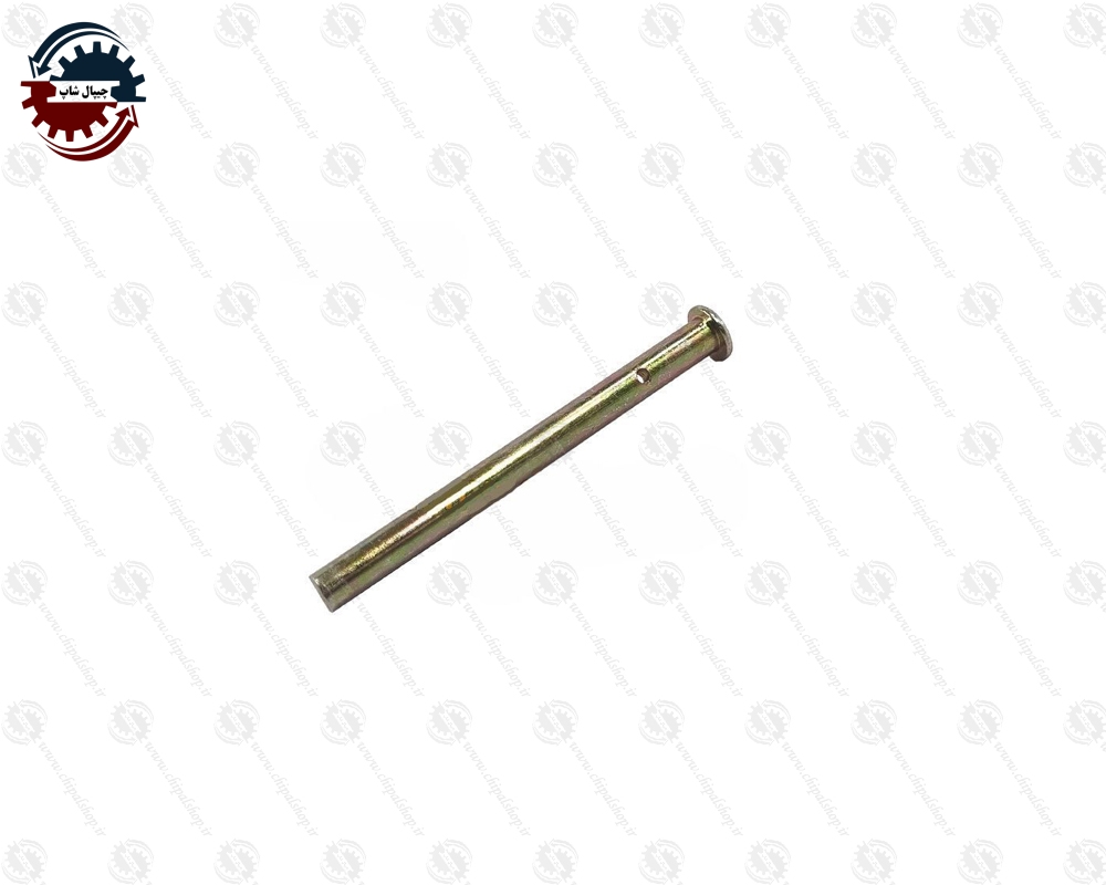 2169 - چیپال شاپ