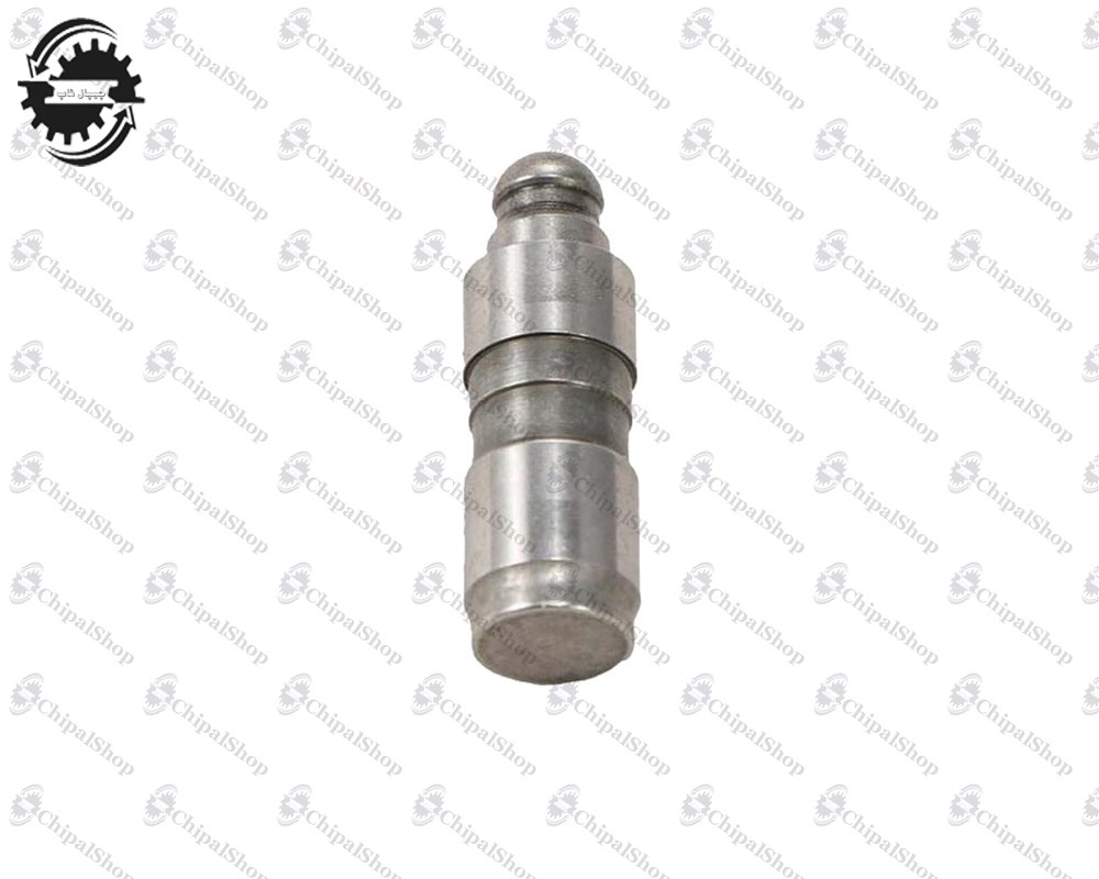 217 - چیپال شاپ