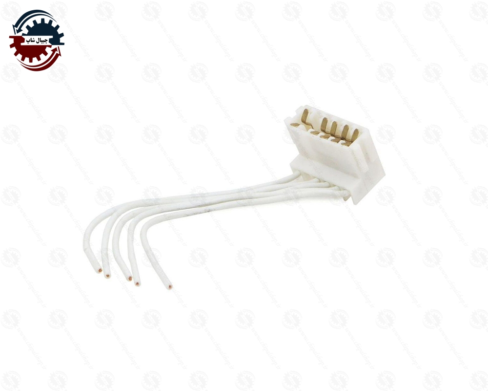 2248 - چیپال شاپ