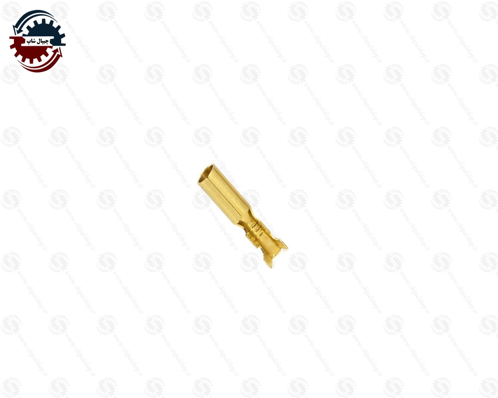 2523 - چیپال شاپ