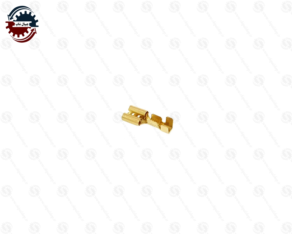 2524 - چیپال شاپ