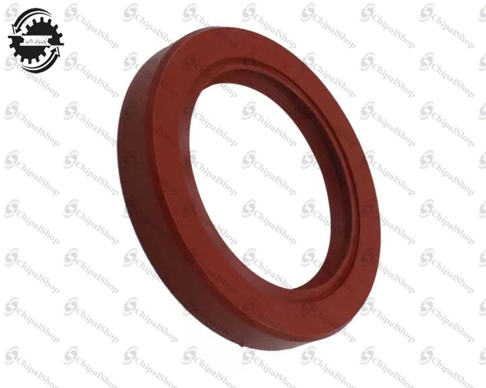 262 - چیپال شاپ