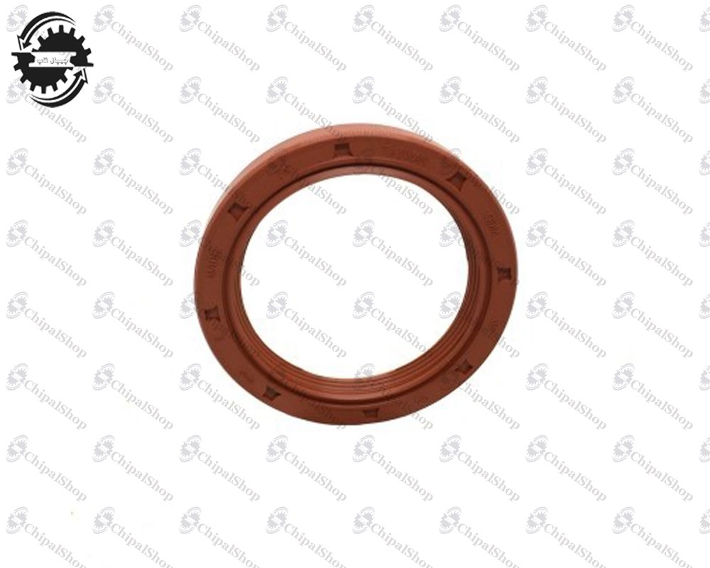 265 - چیپال شاپ