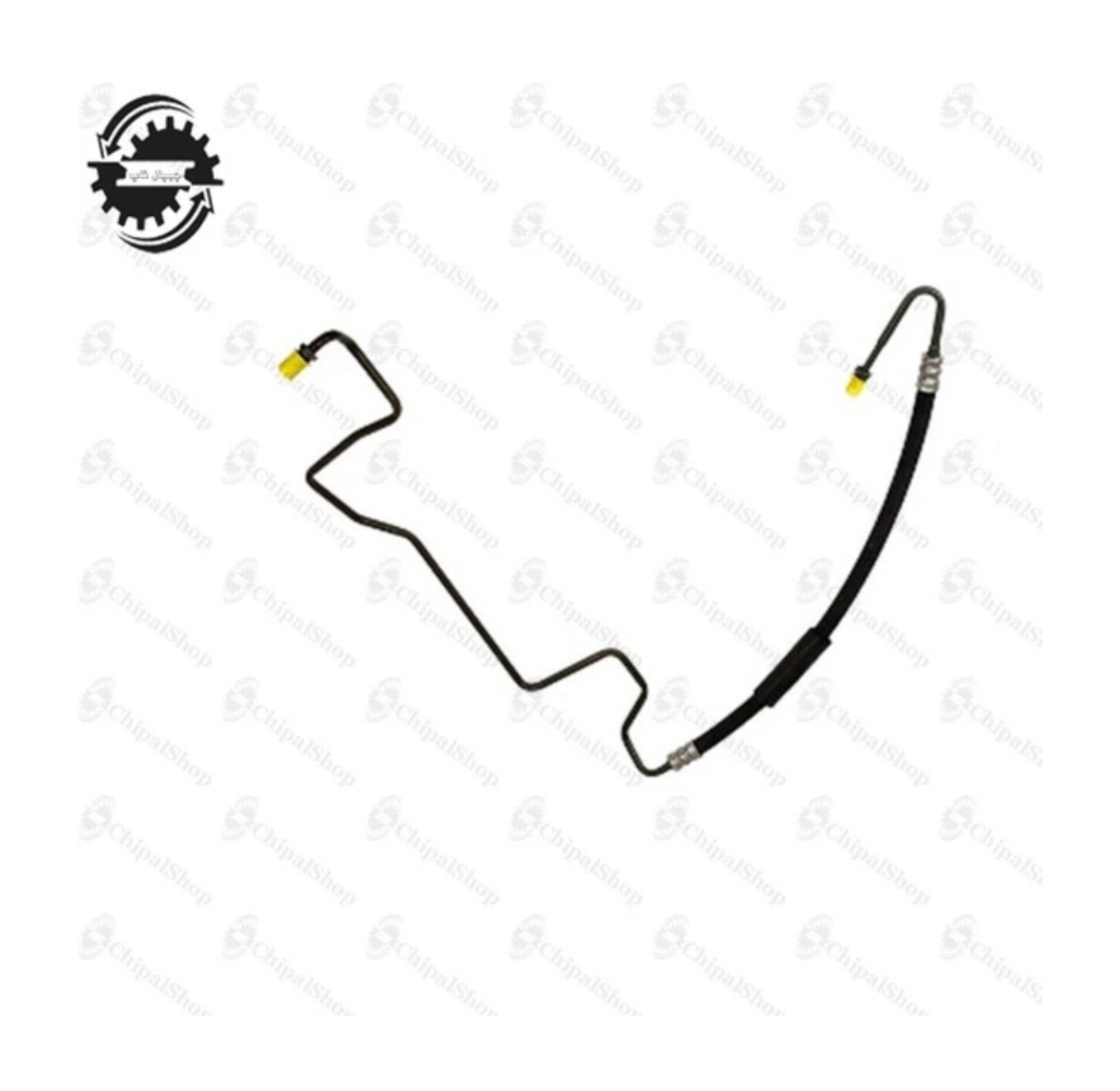 InShot ۲۰۲۴۰۹۲۳ ۱۶۳۷۴۴۲۰۱ - چیپال شاپ