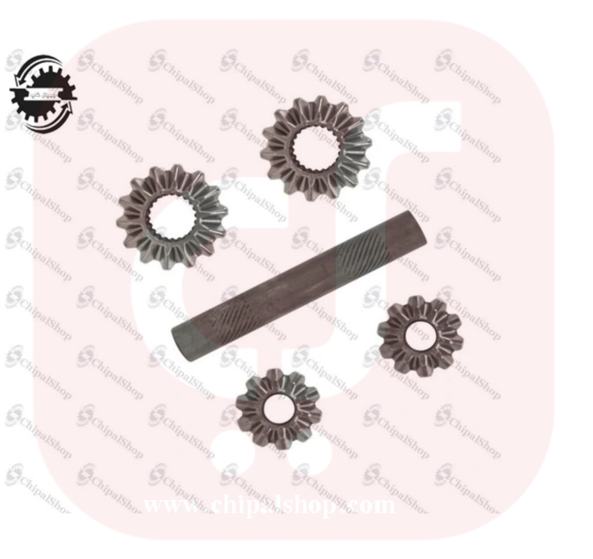 Pl0l0 chipalshop - چیپال شاپ