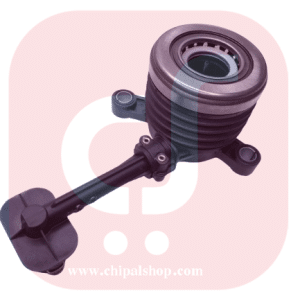 Cinnamon chipalshop 1 1 - چیپال شاپ